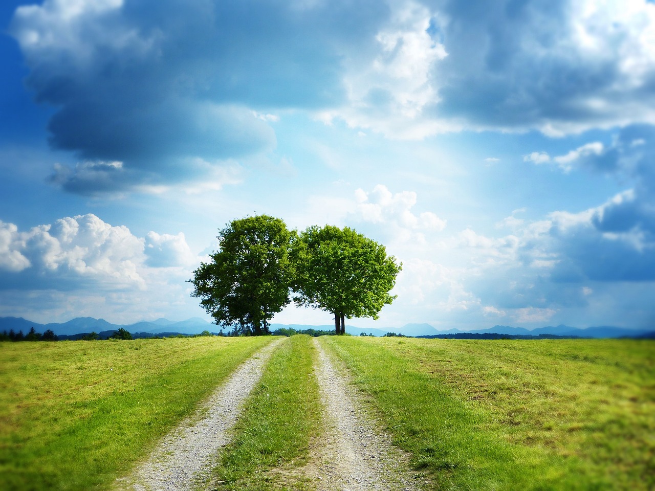 How AI is Enhancing Environmental Monitoring